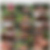 [BigWetButts.com / Brazzers.com] Abbey Brooks (Abbey's Beautiful Bounty / 28.10.11) [2011 ., Anal, Big Tits, Big Ass, Blonde, Blowjob, Facial, Outdoor Sex, Oil] thumb