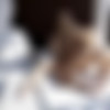 [18OnlyGirls.com / WowFandom.com] Anjelica, Gina Gerson ( Breakfast By The Pool / 04.04.14) [2014 ., Lesbo, 1080p] thumb