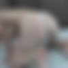 [ImmoralLive.com / BlowPass.com] Mary Monroe (Horny Teen Mary Monroe Gets a Creampie from Porno Dan who is more than Twice Her Age! / 27.07.2019) [2019 ., Anal,All Sex , 2160p] thumb