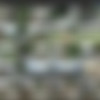 [NIP-Activity.com] SiteRip 2007-2017 (MegaPack 481 scenes) thumb