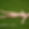 [Hegre.com] 2020.10.11 Alba - Green Nudes [Glamour] [7952x5963, 30 ] thumb