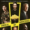 Ordeal By Innocence 2018 720p WEBRip HEVC x265 BONE thumb