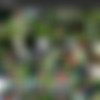 PandaFuck - Full SiteRip at 01.20.2022 - 720p thumb