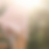 [Zishy.com] Photos that leave something to the imagination! [312 ][2016-2017 ., Solo, Posing, Flashing, Public Nude, Teen, Outdoor, Non-sex] [720p, SiteRip] thumb