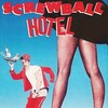 Screwball Hotel [1988] / H264 / MKV / DVD / SD / AC3 thumb