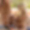 [WowPorn] 13.11.22 Nancey Hello Again 1080p-TayTO thumbnail