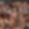 PornWorld.com 2021-06 SiteRip Update thumb