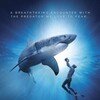 Great White Shark 2013 2160p UHD BluRay x265-WhiteRhino thumb