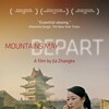 Mountains May Depart 2015 1080p BluRay REMUX AVC DTS-HD MA 5 1-TRiToN thumb