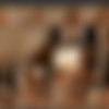 Xev Bellringer Megapack 720p x265 ReEncode thumb
