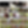 [Deeper] Lawless Part 3 - Kenna James Amber Moore - 2023-08-24 - 1080p thumb
