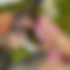 [LarasPlayground.com] Olga Cabaeva Part One 08.11.19 [2019 ., Lesbian, Pussy Licking, Big Tits, 1080p] thumb