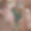 [Katya-Clover.com] 2020-07-03 Katya Clover & Joy (Clarice) - Dancing In The Rain [Erotic] [2160p, SiteRip] thumb