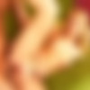[BangTeenPussy.com][SpearMyPussy.com] Barbie [2013 ., AllSex, 1080p, SiteRip] thumbnail