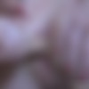 [FERRONETWORK.com / BackDoorLesbians.com]      (Jen, Hetty/ g648) (21/07/2012) [2012, Femdom, Strapon, Lesbo, Russian, Oral, Dildo, SiteRip, 720p] thumb