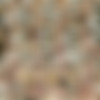 (superpov.com) Beata Undine (aka Renata) [2009 ., All sex.anal.teen, SiteRip] thumb