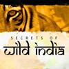 Secrets of Wild India S01 720p WEB-DL DDP5 1 H 264-squalor thumb