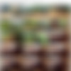 [realafricans.com] Siterip - PACK1 thumb