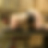 [HuCows.com] Vina-Red Cow Milker and Fucking Machine /       Vina-Red [2020-08-29 ., Bondage, Milk Machine, Fucking Machine, 1080p, SiteRip] thumb