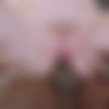 [Blacked.com] Bunny Colby - Can't Be Contained (10.01.2019) [Big Tits, Blowjob, Doggystyle, Riding, Reverse Cowgirl, Pussy Licking, Creampie, Hairy Bush, Missionary, Interracial, 2160p] thumb