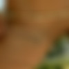 [PlayboyPlus.com]  2001  (161 ) [Erotic, Solo, Nude, Posing, 1080p, SiteRip] thumb
