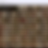 [X-Art] Carla Cox (Intimate)    . [2012 ., Masturbation] thumb