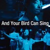 And Your Bird Can Sing [2018] / H264 / MKV / Blu-ray / 1080p / AC3 / Japanese / Subs thumb