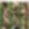 [ManyVids] Lara Loxley - 68 Videos MegaPack thumb