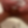 [Fansly.com] Siterip - tinytcookie [2,408 images] [649 videos] - Updated - EMP Exclusive thumb