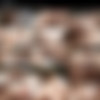 [ProlapseParty.com] - (42 ) [2012-2013 ., Prolapse, Rosebutt, Group, Fisting] thumb
