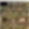 Alexis Crystal Megapack - 564 Scenes (2011-2018) thumb