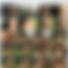 [Vikingsofporn.com/Momswithboys.com] (Mom giving the gardener a little extra for his work / 314509) [2014 ., ll Sex, Maturel,Oral classic sex Blowjob,Cum On Face] thumbnail