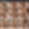 LadyBoyPlay.com Complete Videos SiteRip thumb