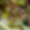 [PerverX.com] Angelica & Paula & Bianca [Anal, Gape, Orgy, Group, DP, Fisting, Speculum, Pissing, Pee, Piss Drinking, Blowjob, Interracial, Latina, Stockings, Toys, Dildo, Strapon, Short Haircut, 720p] thumbnail