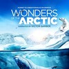 Wonders of the Arctic 2014 DOCU 2160p BluRay HEVC TrueHD 7 1 Atmos-PRECELL thumb