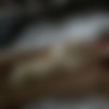 [ifeelmyself.com] Orgasm compilation (June 2013) [2013 ., Masturbation, Amateur, CamRip] thumb
