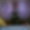 Private Photoshoot [Amateur] [ 640*480  1253*940, 355] thumb
