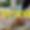 Taissianal PMV thumb