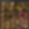 [WhenGirlsPlay.com / Twistys.com] Elena Koshka & Lilly Hall in An Immersive Story [2018.08.14, Lesbian, Latina, Masturbation, 1080p] thumb