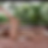 [InTheCrack.com] #1650 Lilu Moon [2020 ., Solo, Close ups, Masturbation, Toys, Indoor, Outdoor, 2160p] thumb