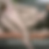 [ElegantAnal.com / Babes.com] Alexa Tomas (Amor Apasionado / 17.06.16) [2016 ., Anal, Brunette, Couples Fantasies, Cum On Ass, Latina, Natural Tits, Girlfriend, Couples, Small Ass, Real Couples, SiteRip] thumb