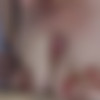 [FERRONETWORK.com / StunningMatures.com] Caroline M, Gerhard / g686 (23/02) [2013, Russian, Matures, BBW, FAT, Oral, All Sex, SiteRip, 720p] thumb