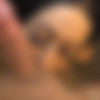 PornstarPlatinum.com 19.10.21 Lexxxi.London - Whore on a leash blowjob thumbnail