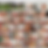 Shae Summers Megapack thumbnail