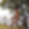 [photodromm.com] 2020-02-19 Teddy aka Teodora - In The Fence [Erotic, Posing][1080p] thumb