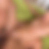 [DPFanatics.com / 21Sextury.com] Summer Breeze (A Light Summer Breeze) [04.12.2010 ., Russian, Blonde, Natural Tits, Oral, Hardcore, Anal, DP, Facial, 1080p, SiteRip] thumb