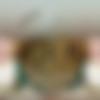 [VRcosplayX.com] Lexi Lore - The Gilded Age A XXX Parody [07.11.2024, Blonde, Blowjob, Cowgirl, Creampie, Doggystyle, Historical, Missionary, Reverse Cowgirl, Small Tits, Teen, TV Show, Virtual Reality, SideBySide, 8K, 4096p, SiteRip] [Oculus Rift / Quest 2 / Vive] thumb