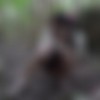 [ATKGirlfriends.com] Carmen Rae (Virtual Vacation Hawaii 8/18) [2019 ., Creampie, POV, Blowjob, Handjob, Footjob, Pee, All sex, 1080p] thumb