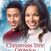 A Christmas Tree Grows in Colorado [2020] / H264 / MP4 / HDTV / 720p / AAC / SoLaR thumb