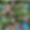 [CzechGardenParty.com / CzechAV.com] CZECH GARDEN PARTY 2 (2014 .) [Group Sex, Hardcore, Party, Orgy, Swingers, Amateurs, Outdoors] thumbnail
